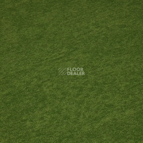 Haima Coral 30 фото 11 | FLOORDEALER